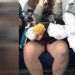Thumbnail of related posts 155